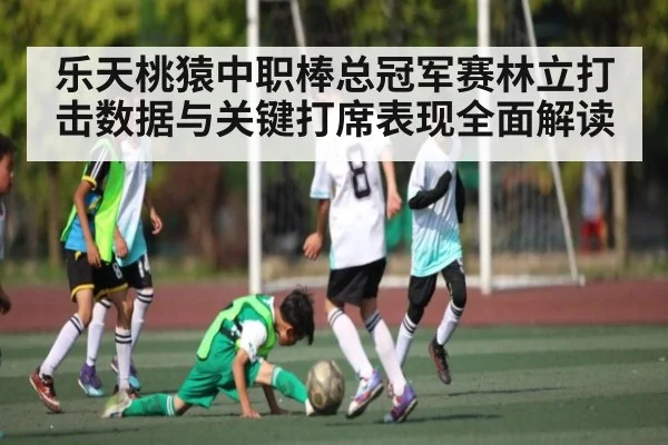 乐天桃猿中职棒总冠军赛林立打击数据与关键打席表现全面解读